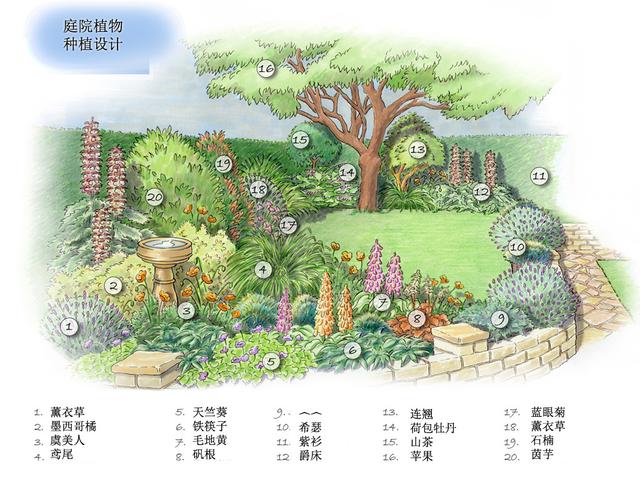 庭院設(shè)計常見草花目錄