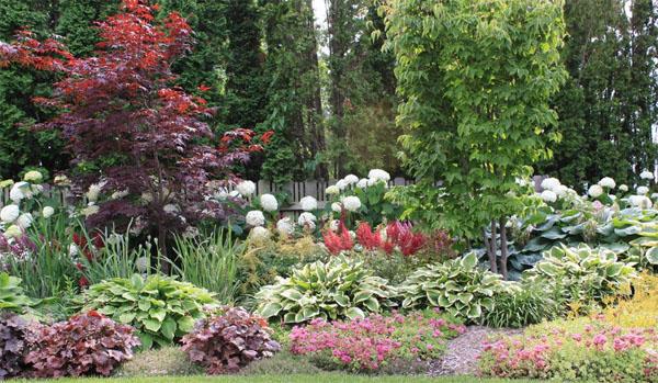 庭院設(shè)計常見草花目錄