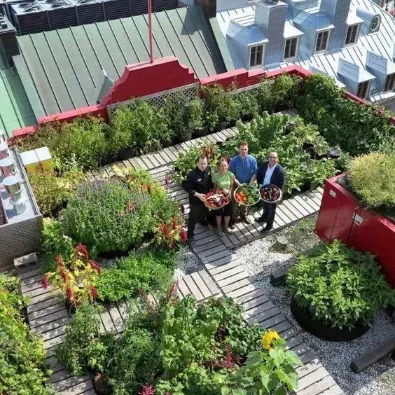 屋頂花園又不是說(shuō)說(shuō)而已