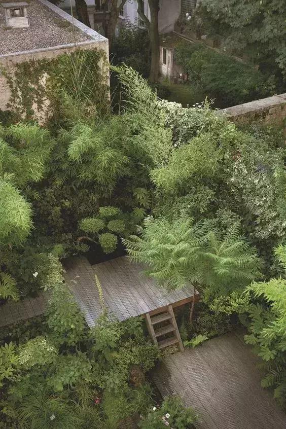 屋頂花園又不是說(shuō)說(shuō)而已