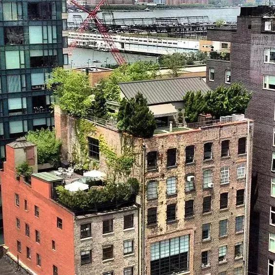 屋頂花園又不是說(shuō)說(shuō)而已