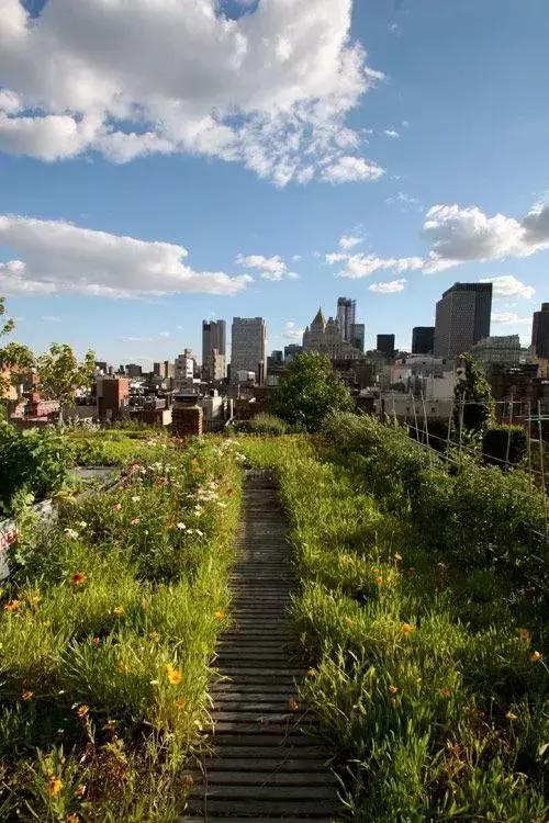 屋頂花園又不是說(shuō)說(shuō)而已