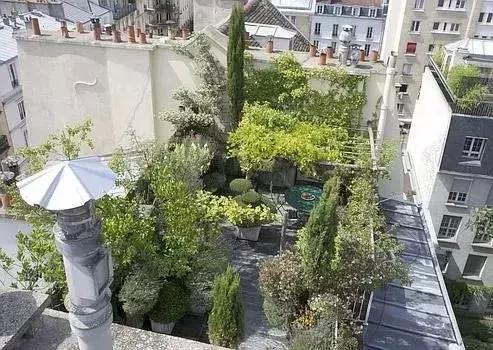 屋頂花園又不是說(shuō)說(shuō)而已
