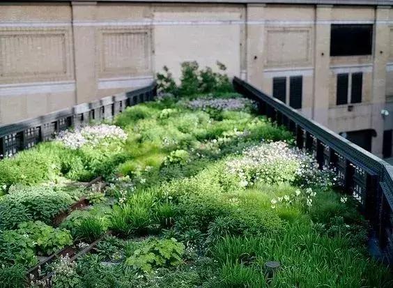 屋頂花園又不是說(shuō)說(shuō)而已