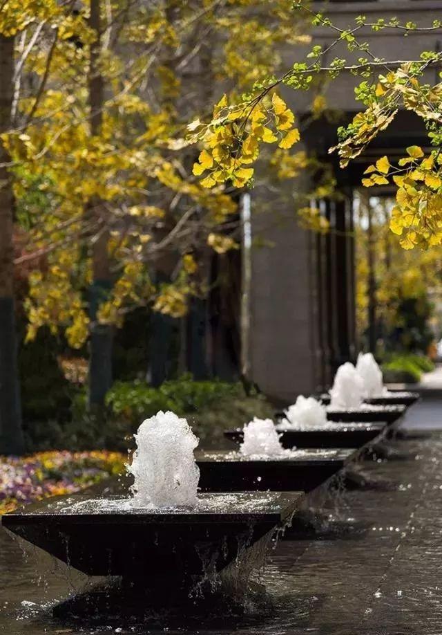 植物與水的搭配讓景觀充滿詩情畫意