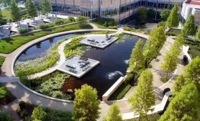 植物與水的搭配讓景觀充滿詩情畫意