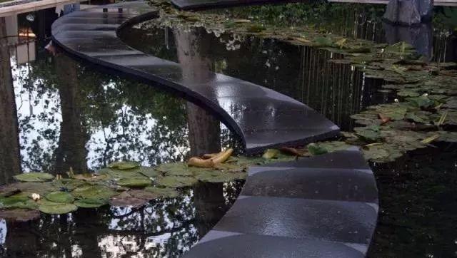 植物與水的搭配讓景觀充滿詩情畫意