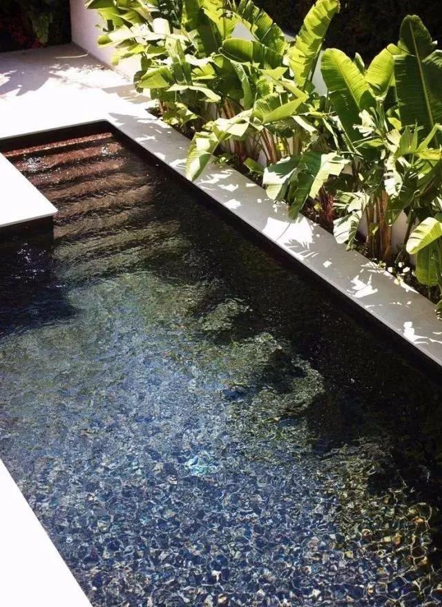 植物與水的搭配讓景觀充滿詩情畫意