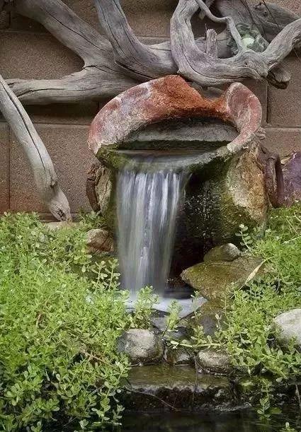 植物與水的搭配讓景觀充滿詩情畫意