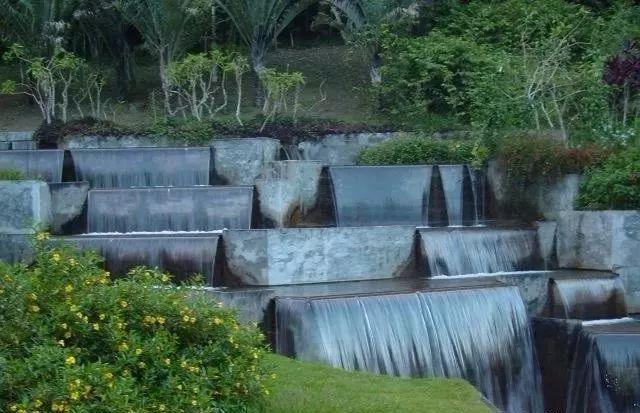 植物與水的搭配讓景觀充滿詩情畫意