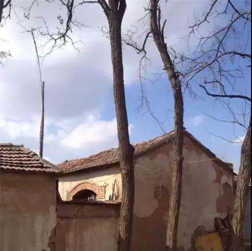 公共藝術如何激活城市與鄉(xiāng)村