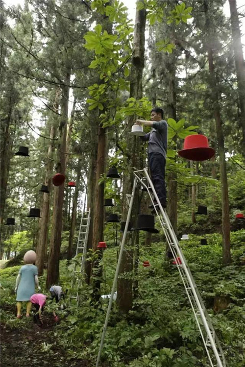 公共藝術如何激活城市與鄉(xiāng)村