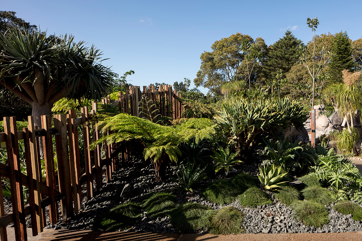 伊恩?波特兒童野外游戲場