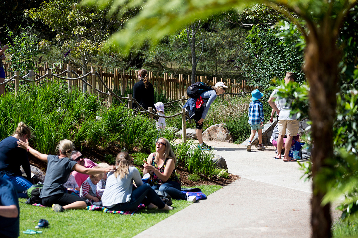 伊恩?波特兒童野外游戲場