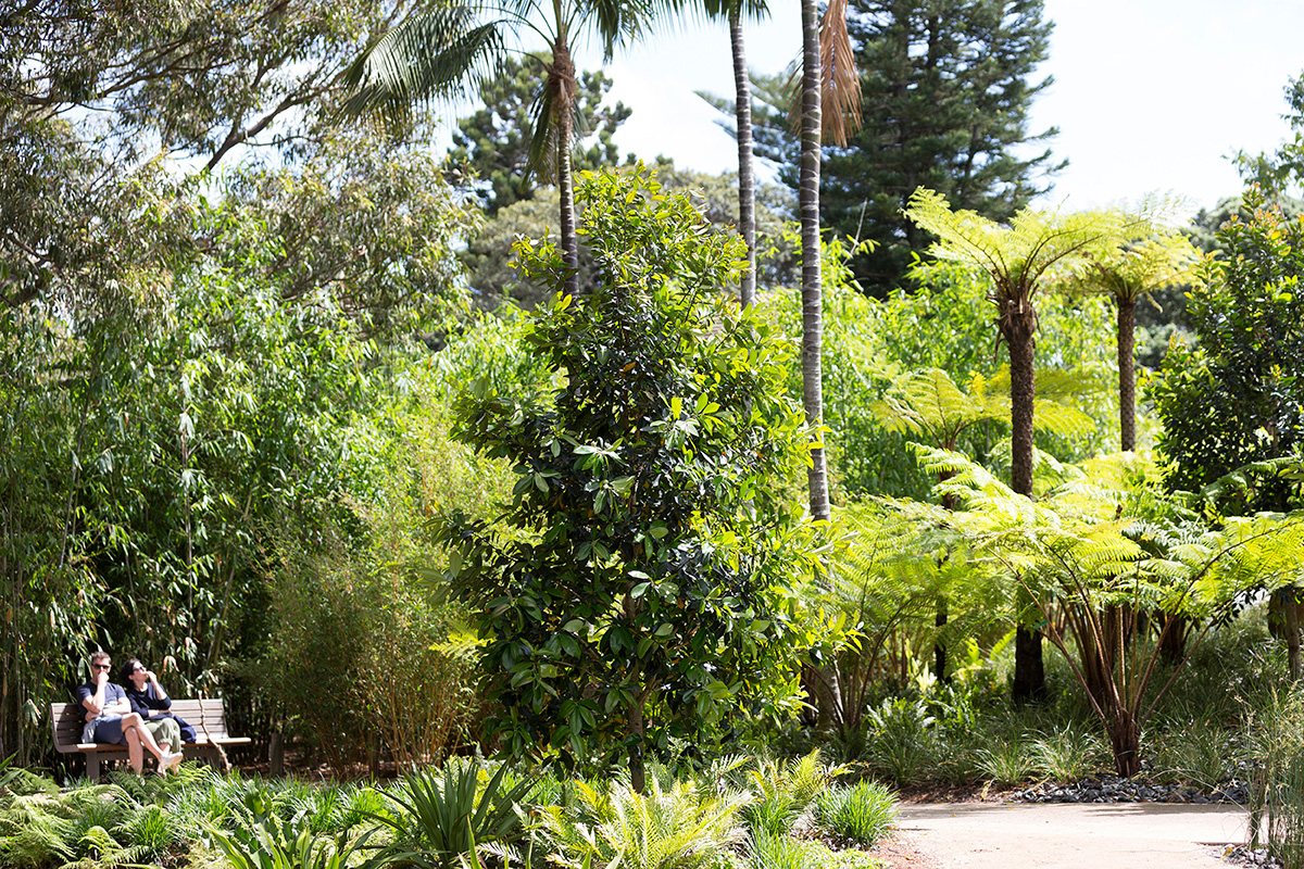 伊恩?波特兒童野外游戲場