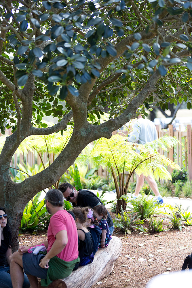 伊恩?波特兒童野外游戲場