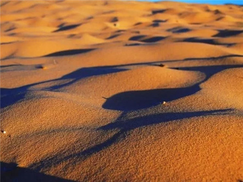 美國國家公園大串燒：美西大圓環極致玩法