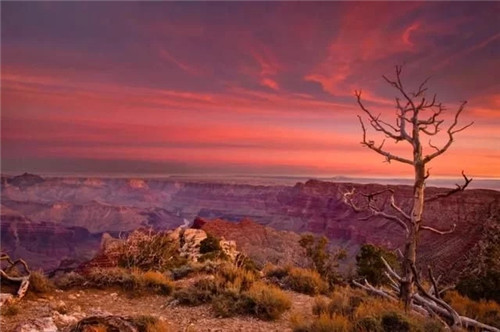 美國國家公園大串燒：美西大圓環極致玩法