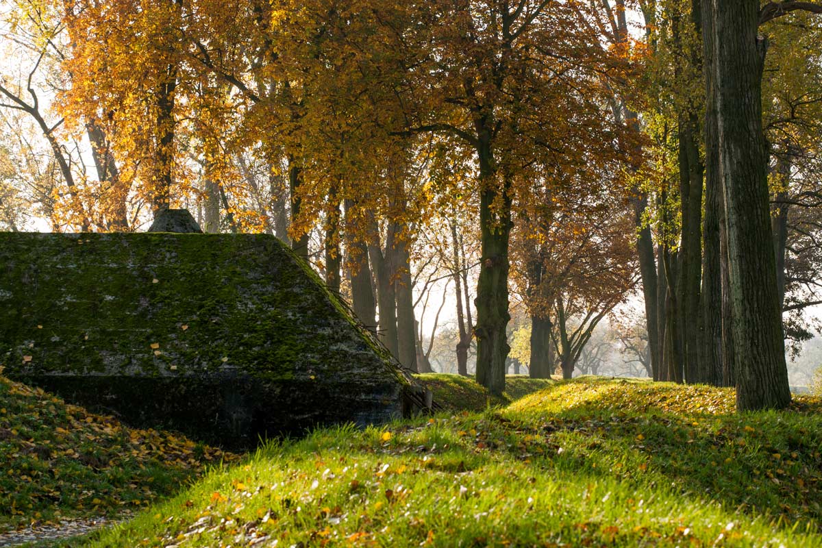綠道防御工事——荷蘭烏得勒支大型軍事遺址公園