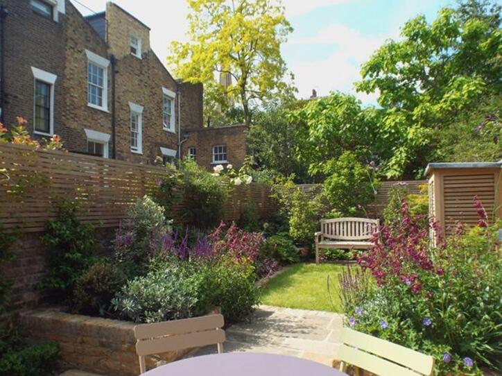 用野生花卉打造完美小花園的四點建議