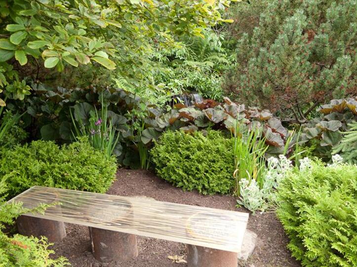 用野生花卉打造完美小花園的四點建議