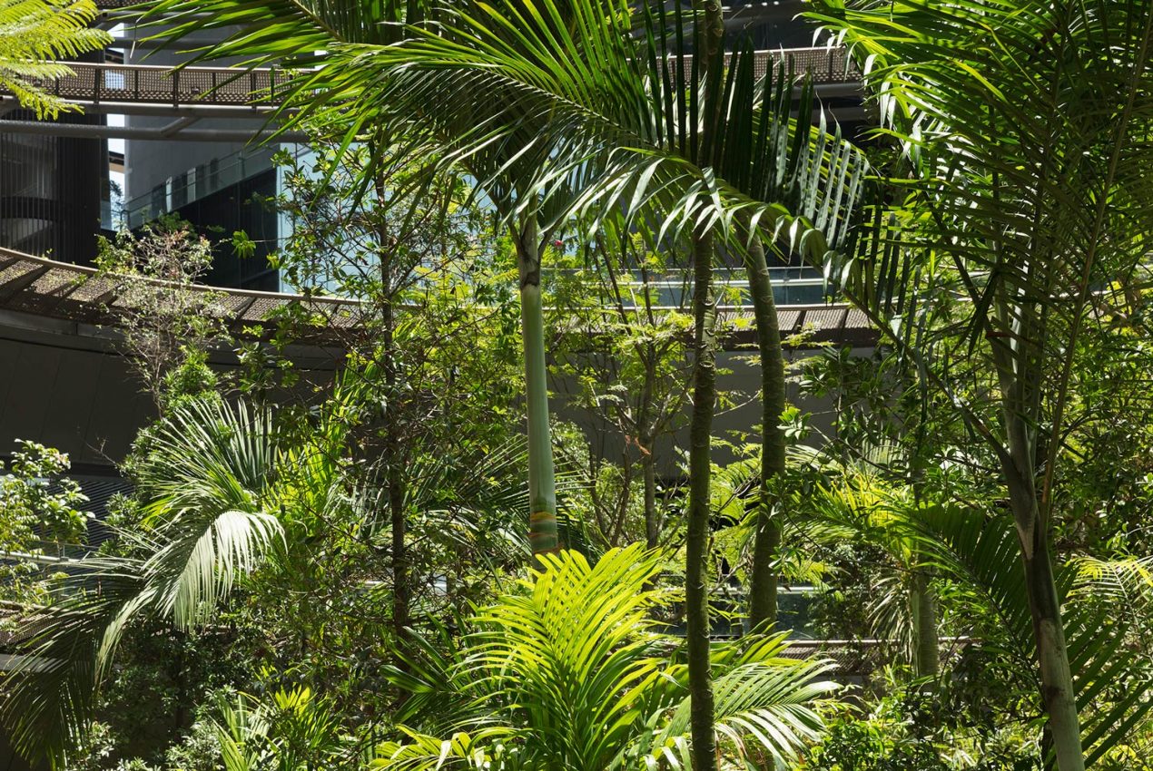 Gustafson Porter + Bowman作品:濱海盛景