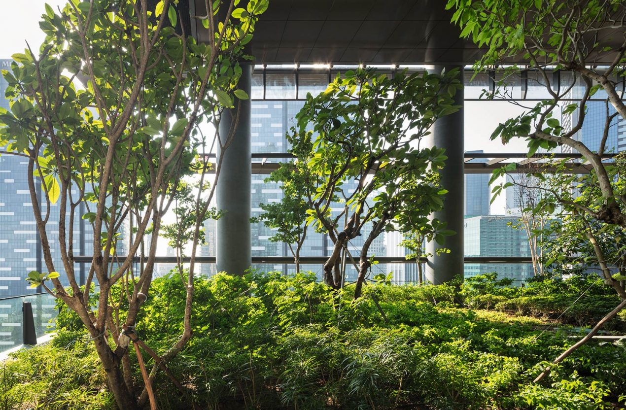 Gustafson Porter + Bowman作品:濱海盛景