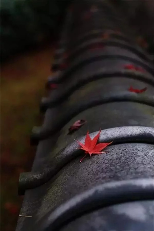 民宿設計意韻東方,瓦檐之美,美在細節