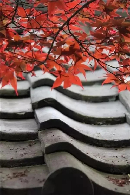 民宿設計意韻東方,瓦檐之美,美在細節