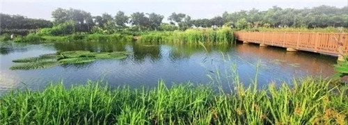 東莞生態(tài)園：海綿城市為術，區(qū)域整合為道