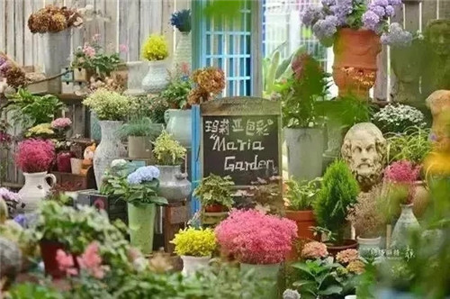 劉俊建了座2畝的鮮花小鎮