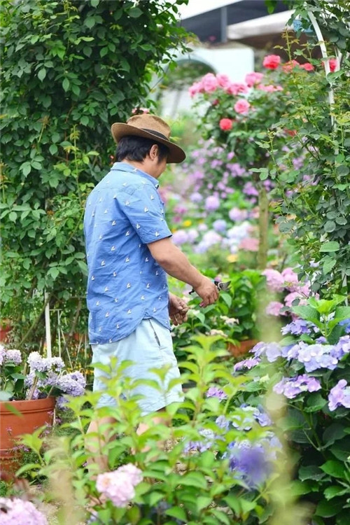 劉俊建了座2畝的鮮花小鎮