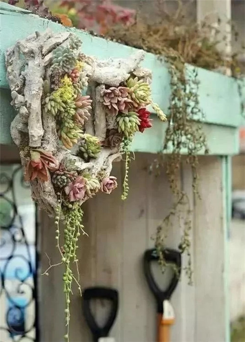 劉俊建了座2畝的鮮花小鎮