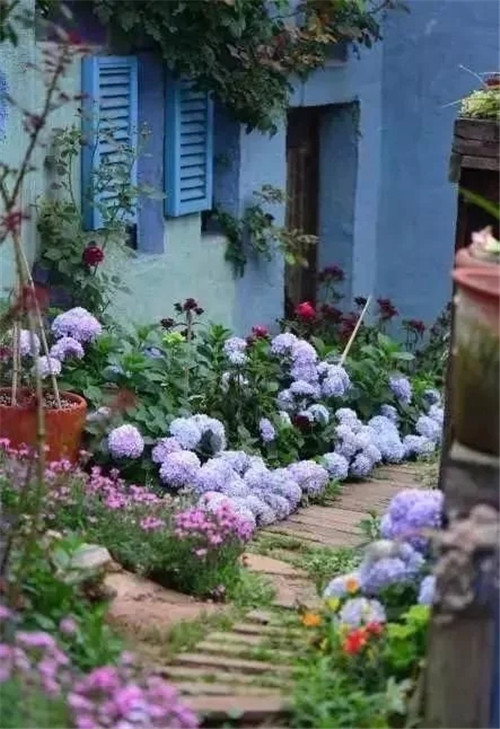 劉俊建了座2畝的鮮花小鎮