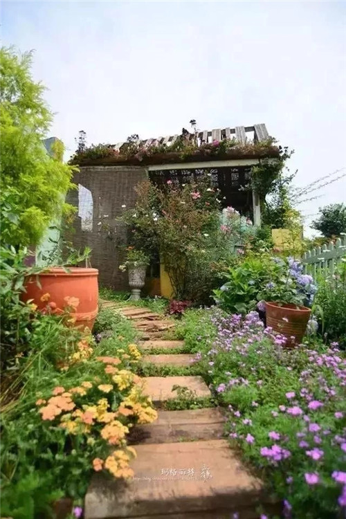 劉俊建了座2畝的鮮花小鎮