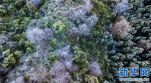 江西仰天崗國家森林公園銀裝素裹