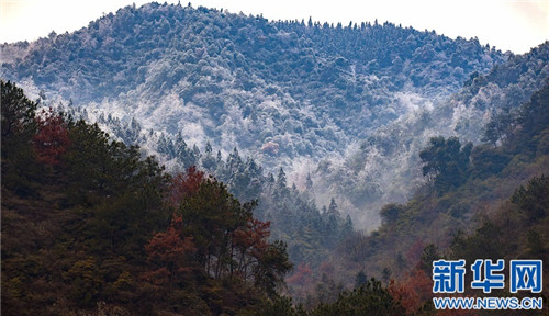 江西仰天崗國家森林公園銀裝素裹
