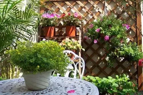 不想給花卉換盆,花卉盆土不板結怎么辦