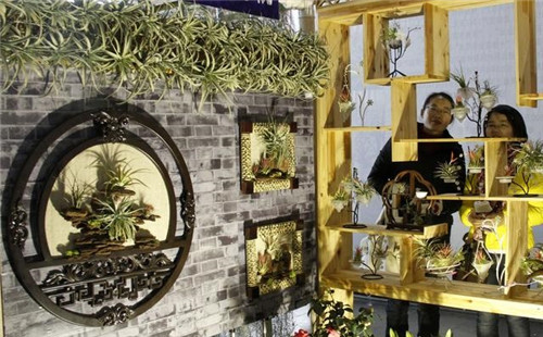 如何挑選年宵花卉？年宵花卉都有哪些