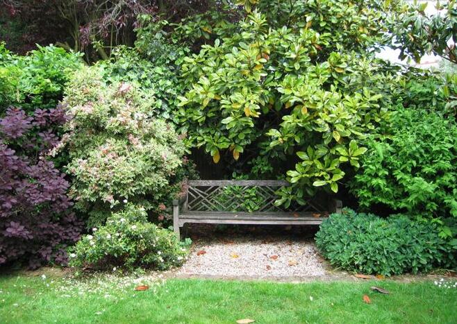 如何將城市里小塊土地變為城市綠洲