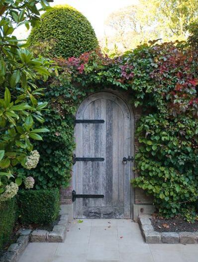 如何將城市里小塊土地變為城市綠洲