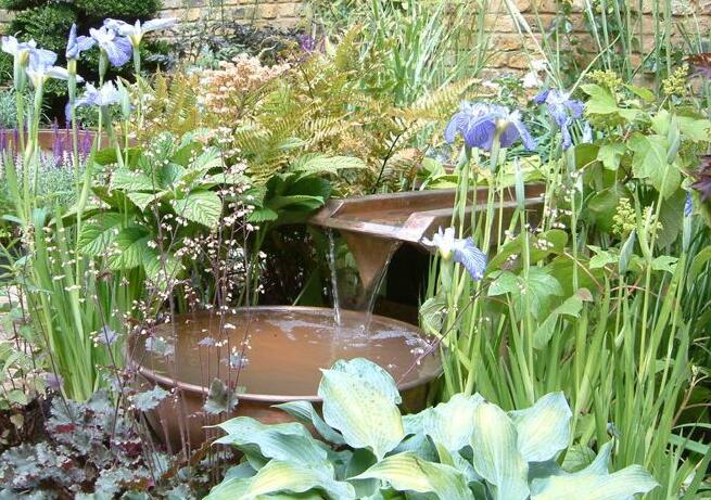 如何將城市里小塊土地變為城市綠洲