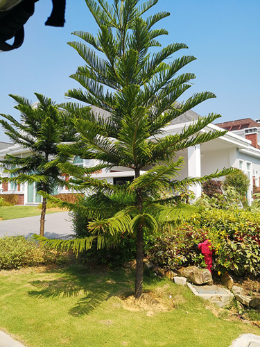 馬來西亞景觀專業考察:實達集團與JRD事務所