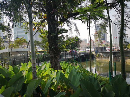 馬來西亞景觀考察:生命之河與Linear事務(wù)所