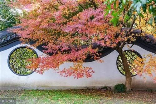 千城一色 斷崖城市文化該去何處續(xù)接