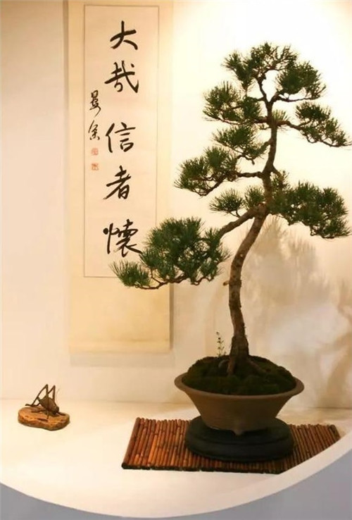 美國費城的盆景與插花藝術展