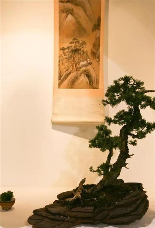 美國費城的盆景與插花藝術展