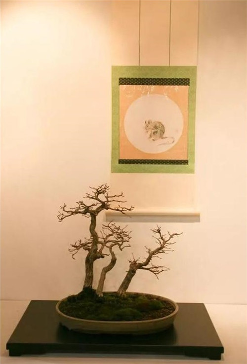 美國費城的盆景與插花藝術展