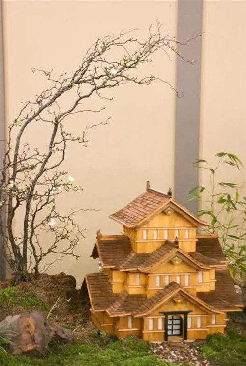 美國費城的盆景與插花藝術展