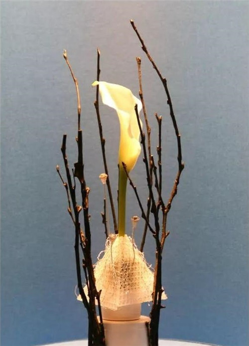 美國費城的盆景與插花藝術展